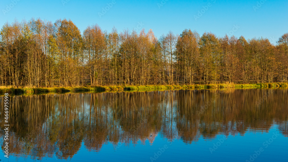 Golden hour by the Narew River