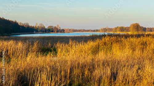 Golden hour by the Narew River