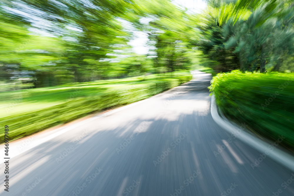 Empty road in the jungle with motion blur Empty road in the jungle with motion blur