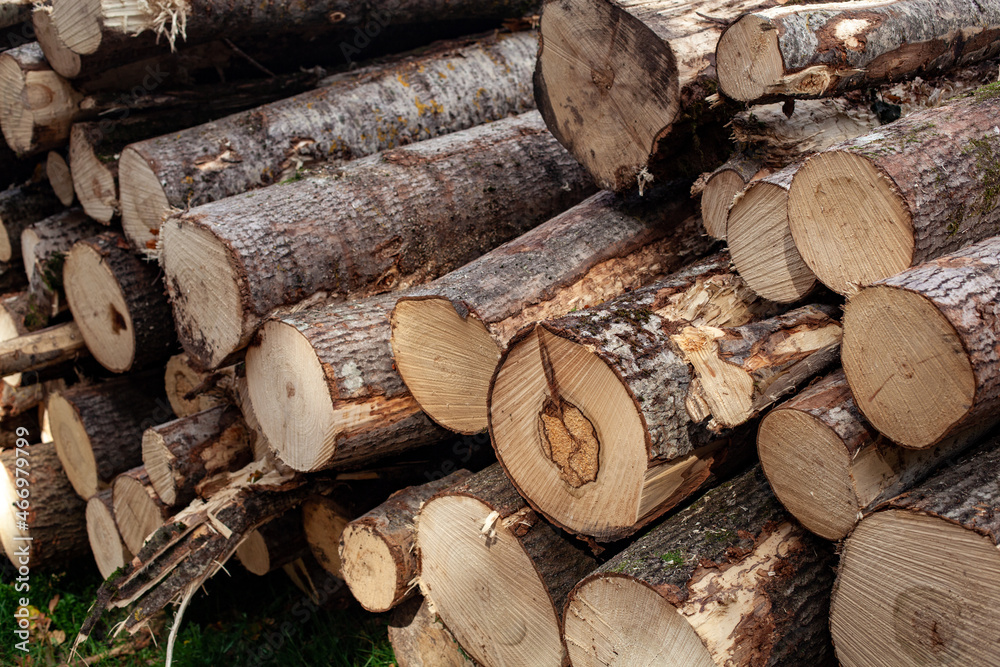 Dry felled logs stacked on top of each other Dry felled logs stacked on top of each other