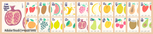 Fruits are drawn. Big set. Collection of vector illustrations. Simple, flat design. Patterns and backgrounds. Perfect for poster, cover, banner. photo