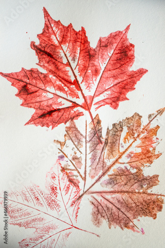 imprints of leaves - Graphics - monoprint