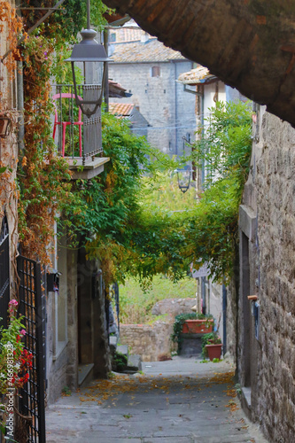 Viterbo San Pellegrino district Lazio Italy Italy