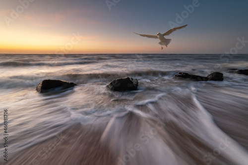 Summer landscape with sea sunrise and seagulls