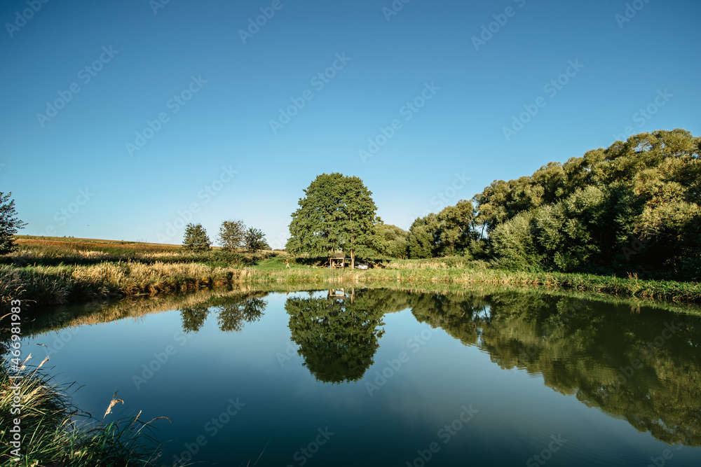 Beautiful trees reflected in water.Rural summer landscape with tree against blue sky and pond.Peaceful and suitable atmosphere for meditation.Serene tranquil scenery.Idyllic sunny day outdoors