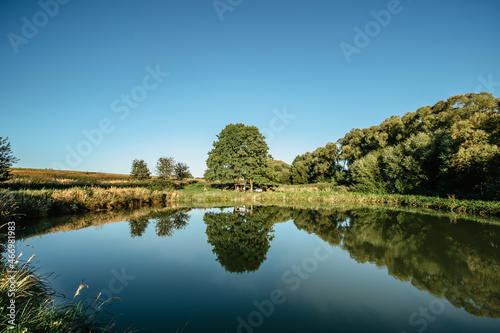 Fototapeta Naklejka Na Ścianę i Meble -  Beautiful trees reflected in water.Rural summer landscape with tree against blue sky and pond.Peaceful and suitable atmosphere for meditation.Serene tranquil scenery.Idyllic sunny day outdoors