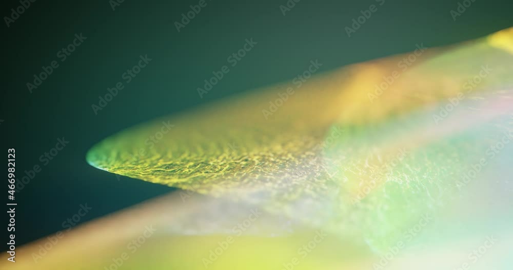 Abstract microscope flower texture with organic motion, macro particle effect. trippy, psychedelic inspiration artwork with copy space. Fantasy artificial growth, ethereal softness. 60fps, 4K loop