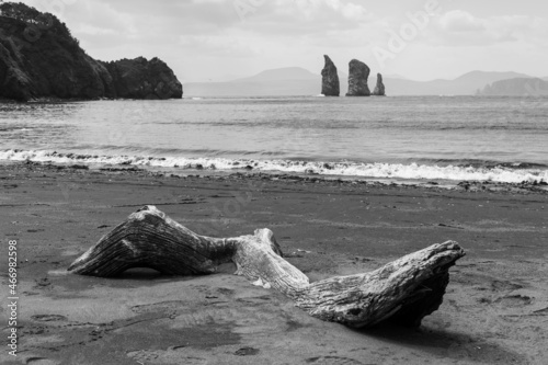 black and white landscape of pacific ocean in Kamchatka