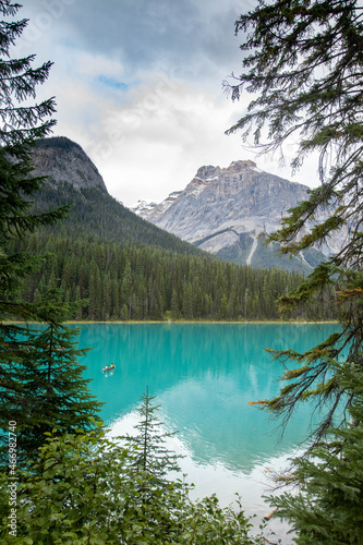 Photo of Emerald lake located in Yoho National Park. There are pine trees in the foreground. Beyond the trees there is emerald lake  a couple who are in a canoe and mountains in the background. 