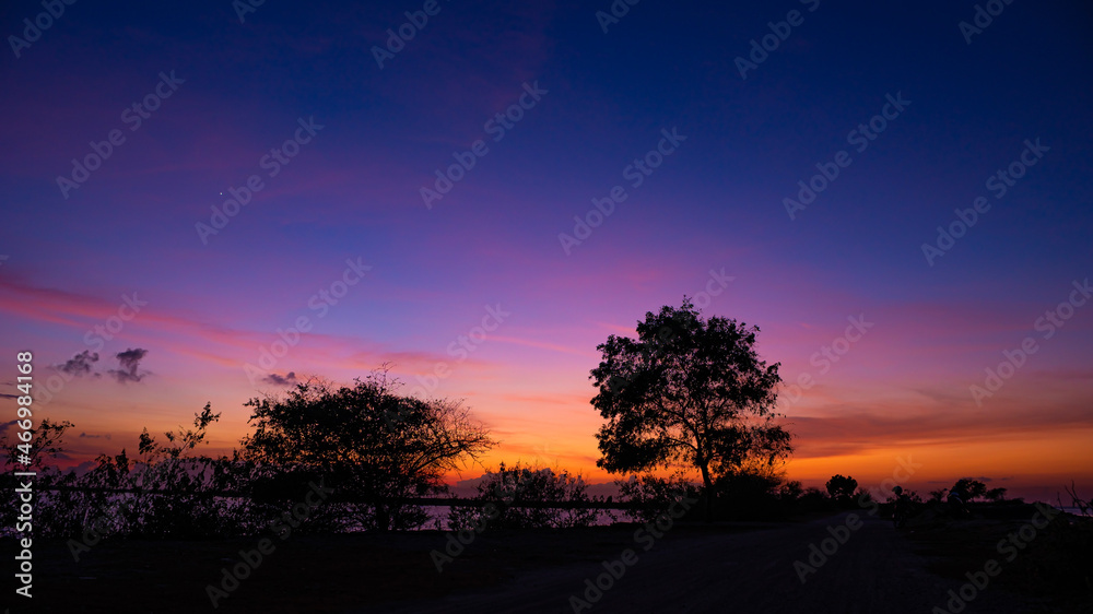 Fototapeta premium sunset over the forest, colorful sky