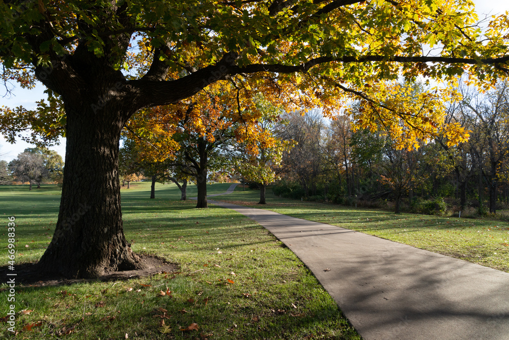 Fototapeta premium Iowa Jasper Park Golf Court Autumn Scene