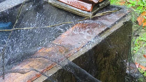 water drops on a wall