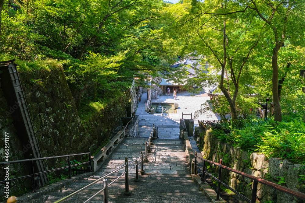 京都市 清水寺境内 音羽の滝へ続く階段 京都市 清水寺境内 音羽の滝へ続く階段
