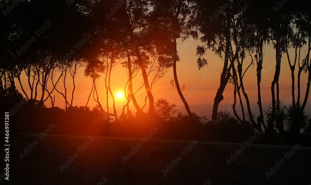 coucher de soleil de rêve entre des arbres à la mer 