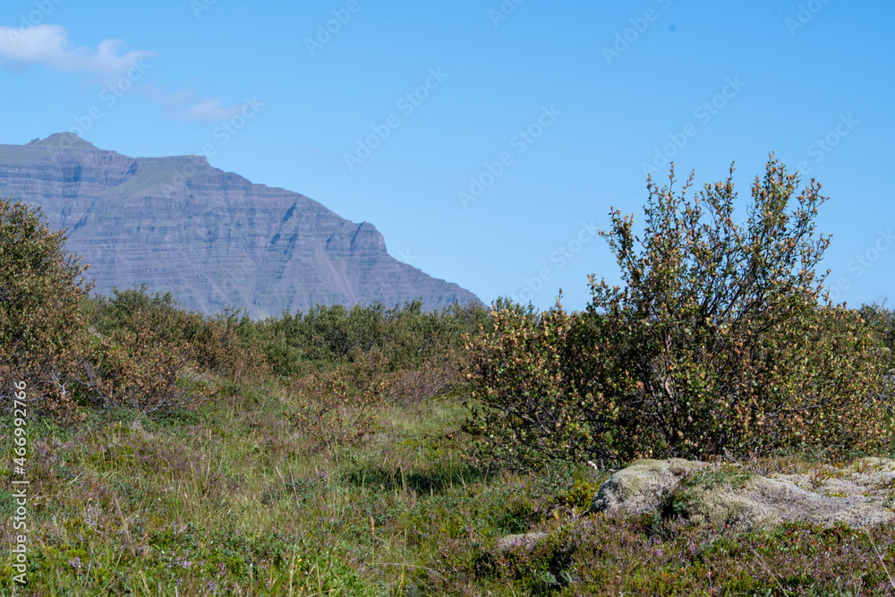 Landscape of mountains near Eldborg crater near Borgarnes South Iceland