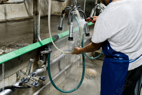 Male worker cleaning the milking machine while working on a dairy farm. Modern mechanised milking equipment. Dairy farm livestock industry.