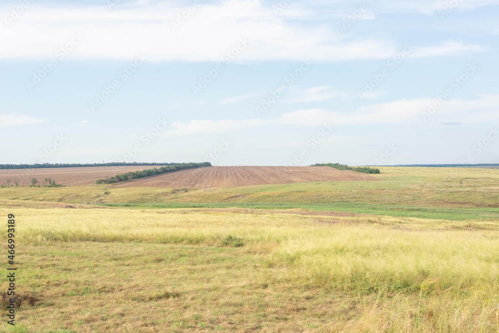 countryside landscape fields in summer with yellow dry grass august ukraine
