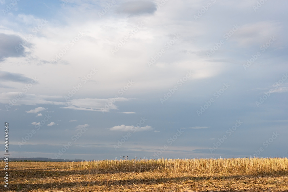 autumn countryside landscape of field after harvest against cloudy sky background