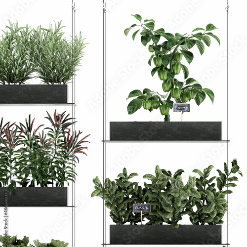 decorative vertical garden for the kitchen on a white background