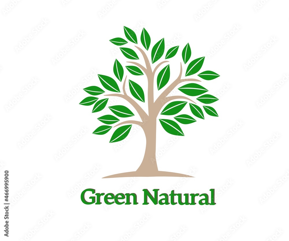 Obraz premium Natural green tree vector. natural green. Evergreens. Natural tree logo. green forest. world tree day. Vector design illustration.