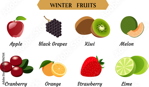 Winter Fruits Vector Illustration, Simple Fruits vector illustration.