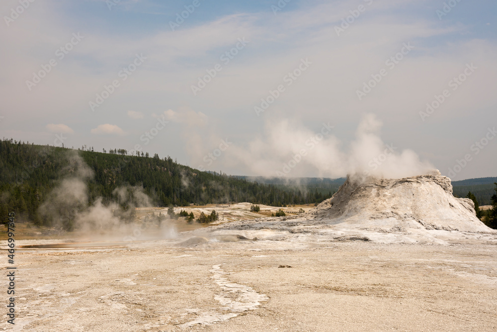 trees, river, Geyser and hot spring in old faithful basin in Yellowstone National Park in Wyoming