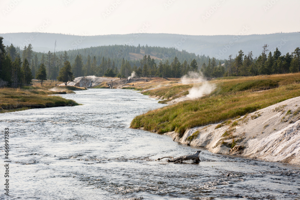 trees, river, Geyser and hot spring in old faithful basin in Yellowstone National Park in Wyoming