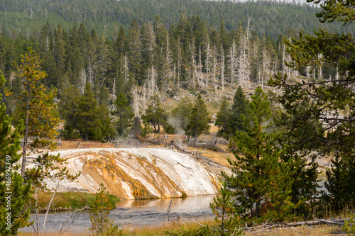 trees, river, Geyser and hot spring in old faithful basin in Yellowstone National Park in Wyoming photo