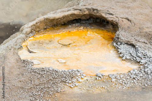 trees, river, Geyser and hot spring in old faithful basin in Yellowstone National Park in Wyoming photo