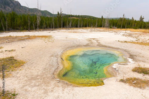 trees, river, Geyser and hot spring in old faithful basin in Yellowstone National Park in Wyoming photo