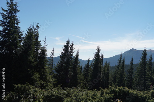 view of the magnificent mountains and sky