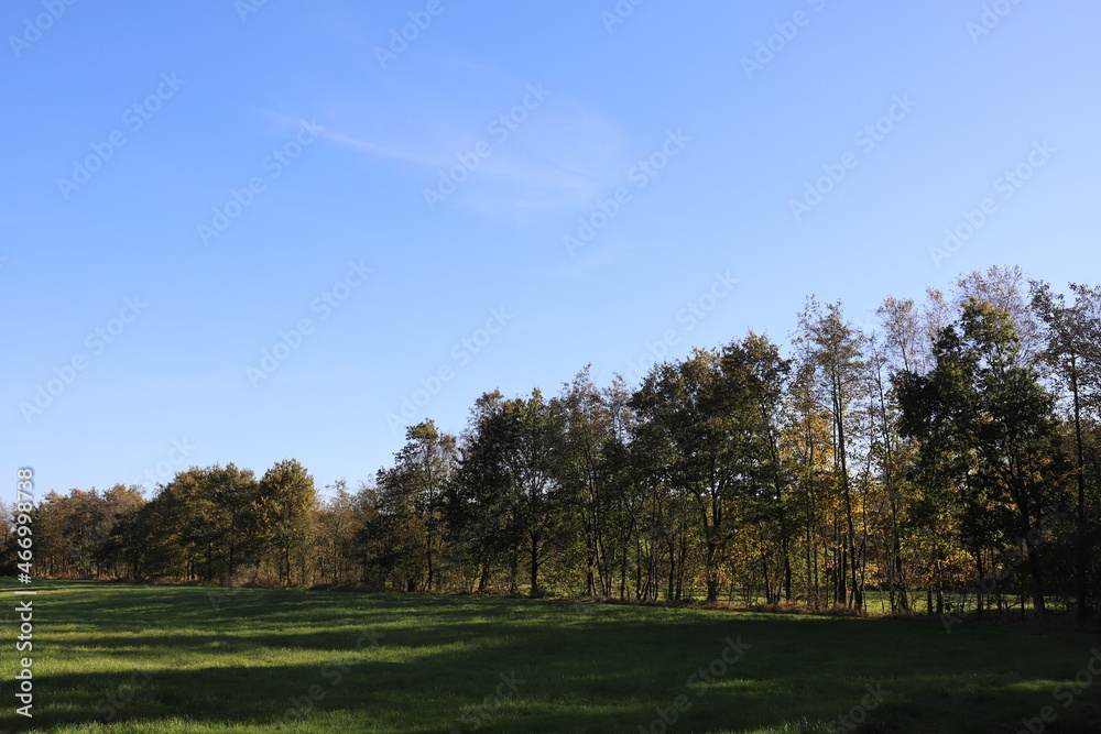 Fototapeta premium Rural landscape with field and forest edge in the fall, panoramic photo.