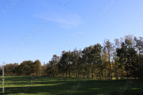 Rural landscape with field and forest edge in the fall, panoramic photo.
