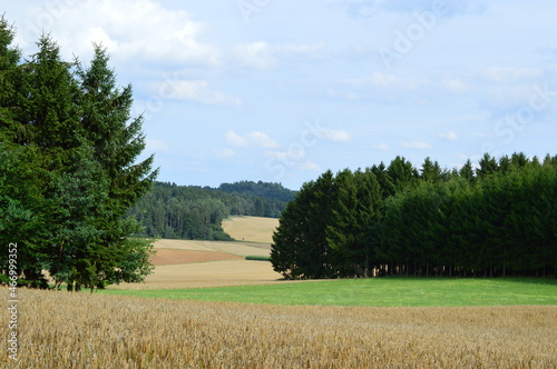 Beautiful landscape around velburg  photo