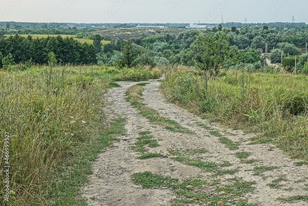 gray sand road on a summer field among green grass and vegetation
