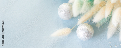 Fluffy yellow spikelets on a blue background  close-up