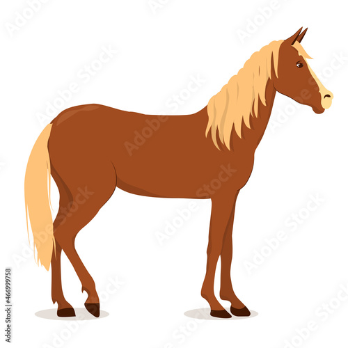 vector illustration of a brown horse with a light mane isolated on a white background