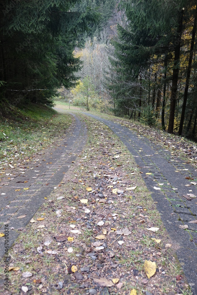 Obraz premium Concrete driveway for heavy vehicles in the German forests, Züsch, Neuhütten, Rhineland Palantinate, Germany 