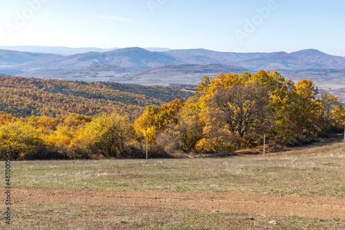 Fototapeta Naklejka Na Ścianę i Meble -  Autumn landscape of Cherna Gora (Monte Negro) mountain, Bulgaria