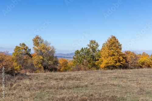 Autumn landscape of Cherna Gora (Monte Negro) mountain, Bulgaria