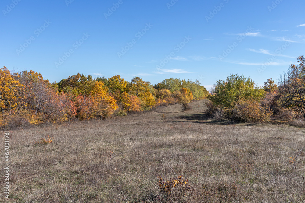 Autumn landscape of Cherna Gora (Monte Negro) mountain, Bulgaria Autumn landscape of Cherna Gora (Monte Negro) mountain, Bulgaria