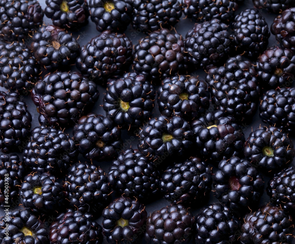 Fresh ripe blackberries as background. Top view. Blackberry texture close up. Fresh ripe blackberries as background. Top view. Blackberry texture close up.