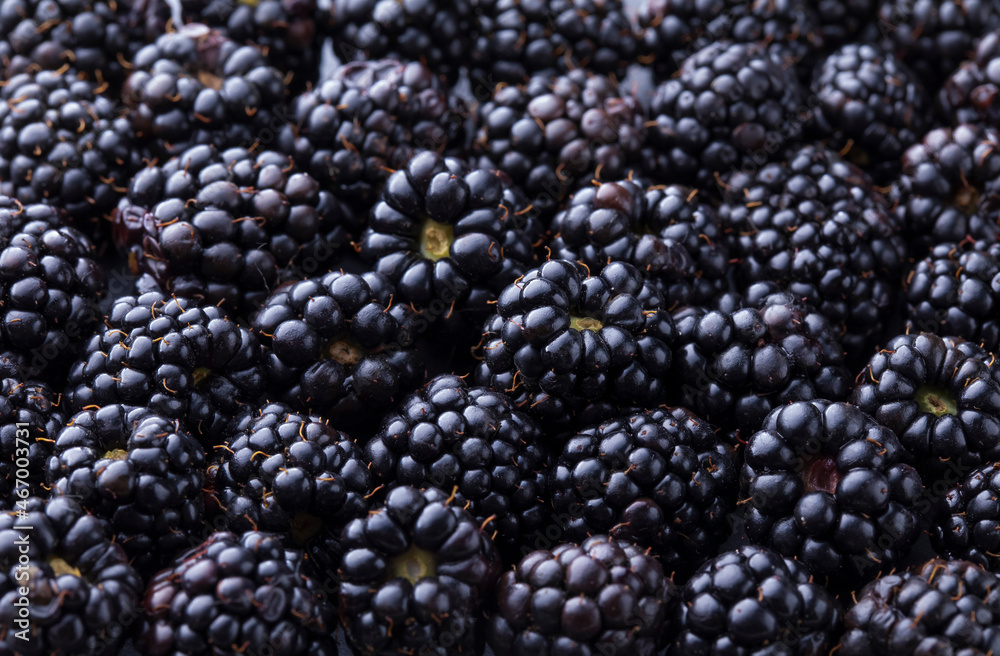 Fresh ripe blackberries as background. Top view. Blackberry texture close up. Fresh ripe blackberries as background. Top view. Blackberry texture close up.
