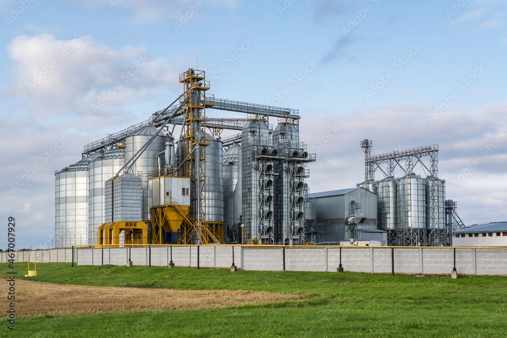 modern granary elevator and seed cleaning line in silver silos on agro-processing and manufacturing plant for storage and processing drying cleaning of agricultural products, flour, cereals and grain modern granary elevator and seed cleaning line in silver silos on agro-processing and manufacturing plant for storage and processing drying cleaning of agricultural products, flour, cereals and grain