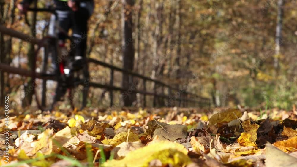 A cyclist rides through an autumn landscape on a path covered with fallen leaves.