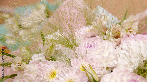 Pink Dahlia. Floral background with delicate flowers.