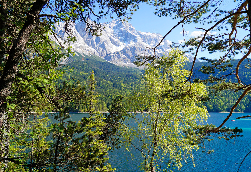 Obraz premium picturesque turquois alpine lake Eibsee (yew lake) by the foot of mountain Zugspitze in Bavaria (the German Alps, Garmisch-Partenkirchen, Grainau, Bavaria, Germany) 