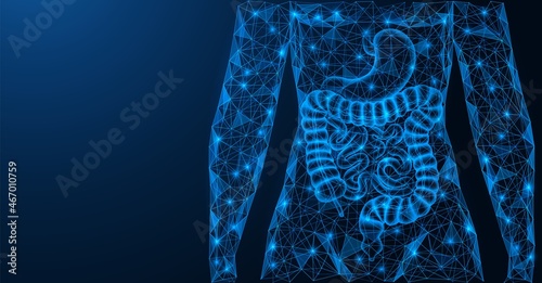 Human gastrointestinal tract. The digestive system. Torso and internal organs. A low-poly model of interconnected elements. Blue background.