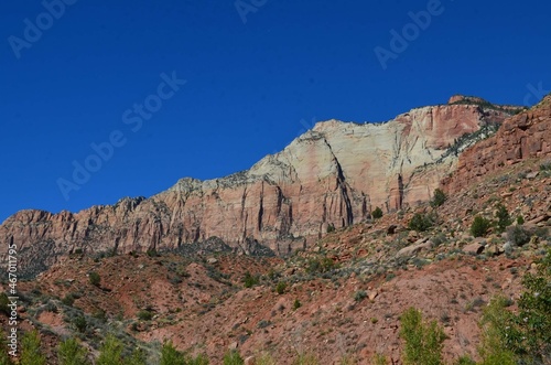 Zion View