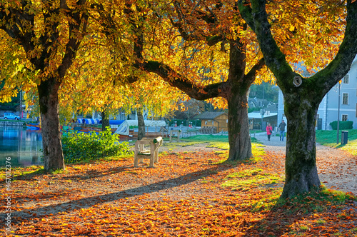 Autumn colours at Bled Lake, Slovenja, Europe